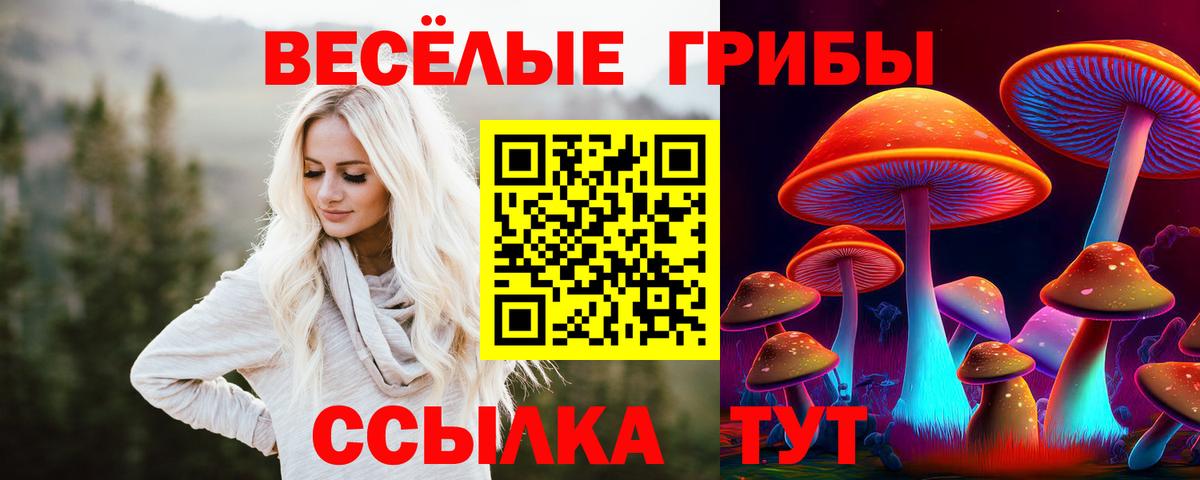 Псилоцибиновые грибы Magic Shrooms Сухой Лог